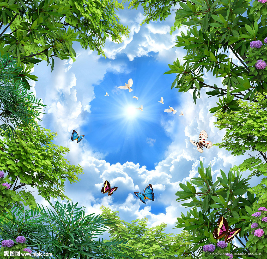 蓝天白云白鸽卧室吊顶天顶壁画