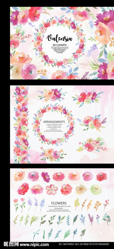 水彩花卉鲜花植物卡片