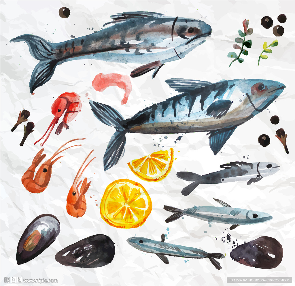 手绘多种海洋生物海鲜插画设计