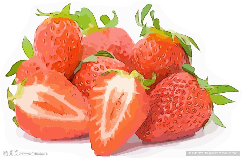 草莓 矢量手绘素材
