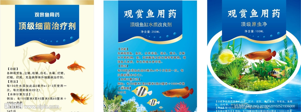 观赏鱼