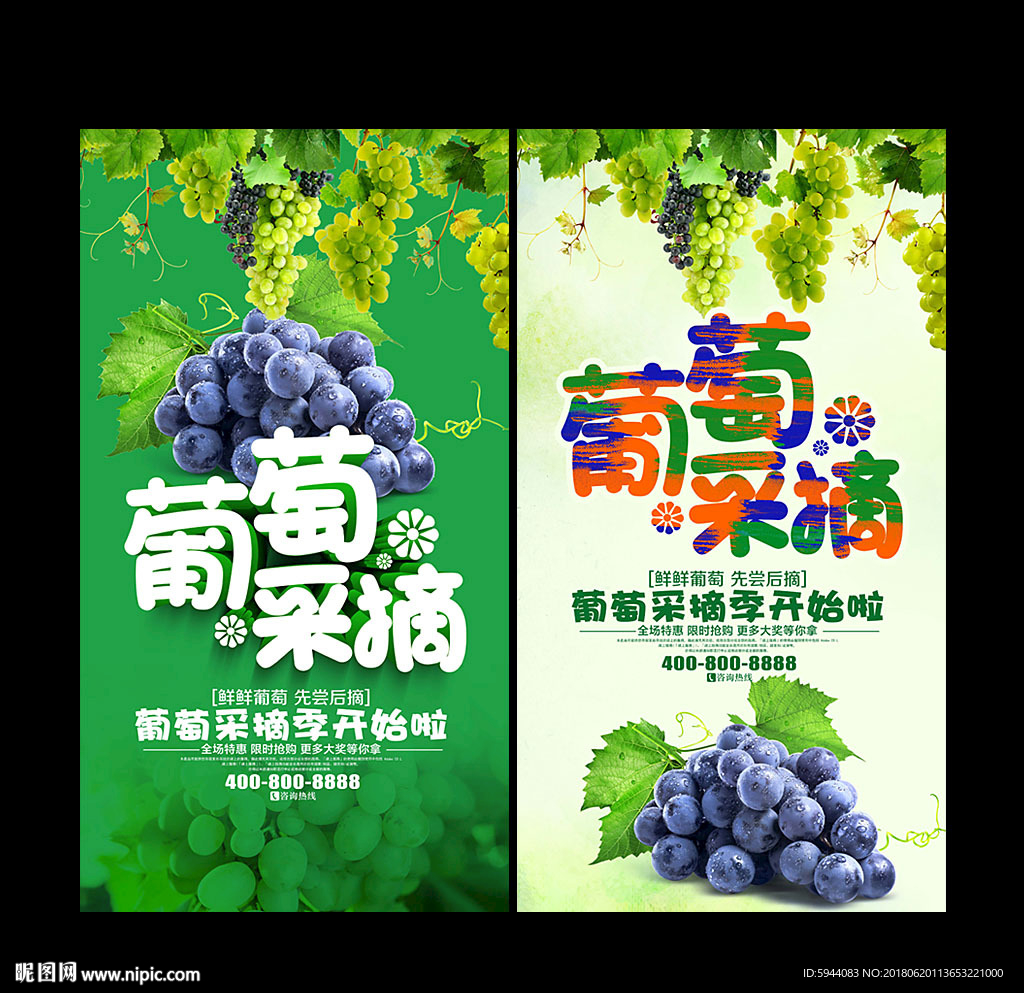 葡萄