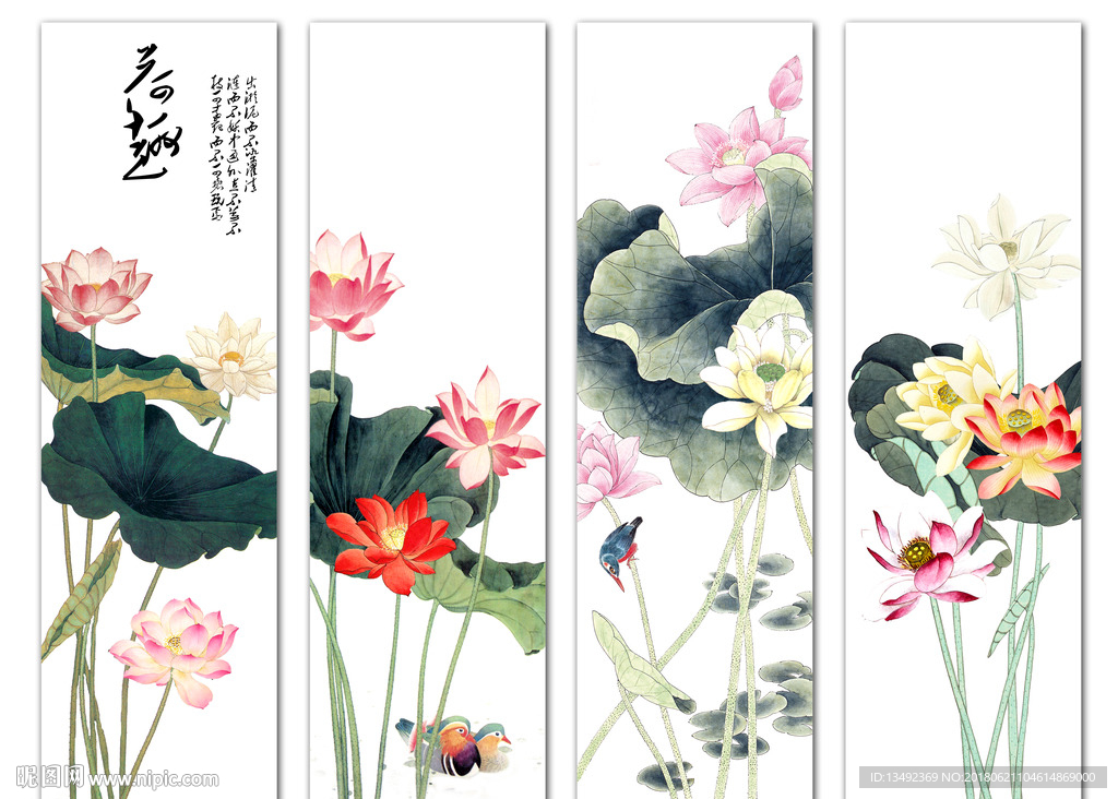 荷花