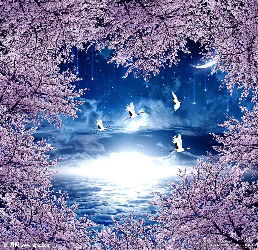 风景画夜晚天顶吊顶画