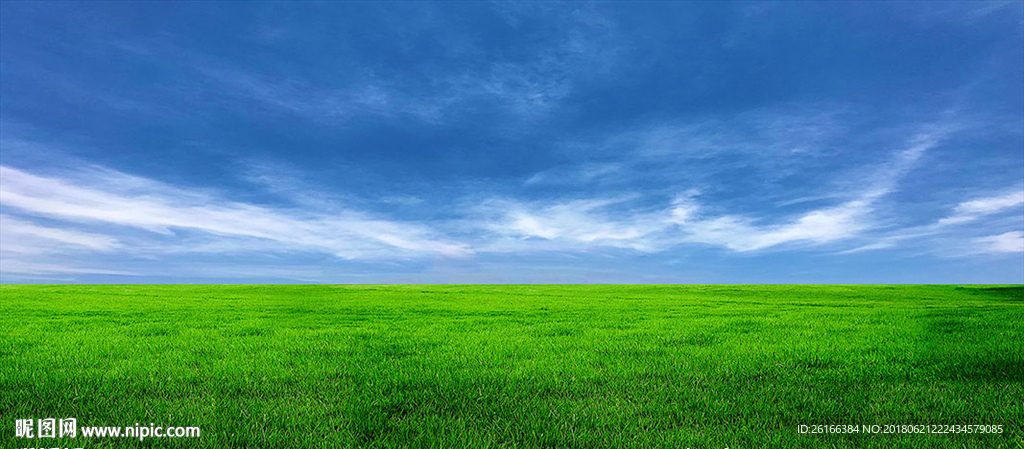 蓝天碧草