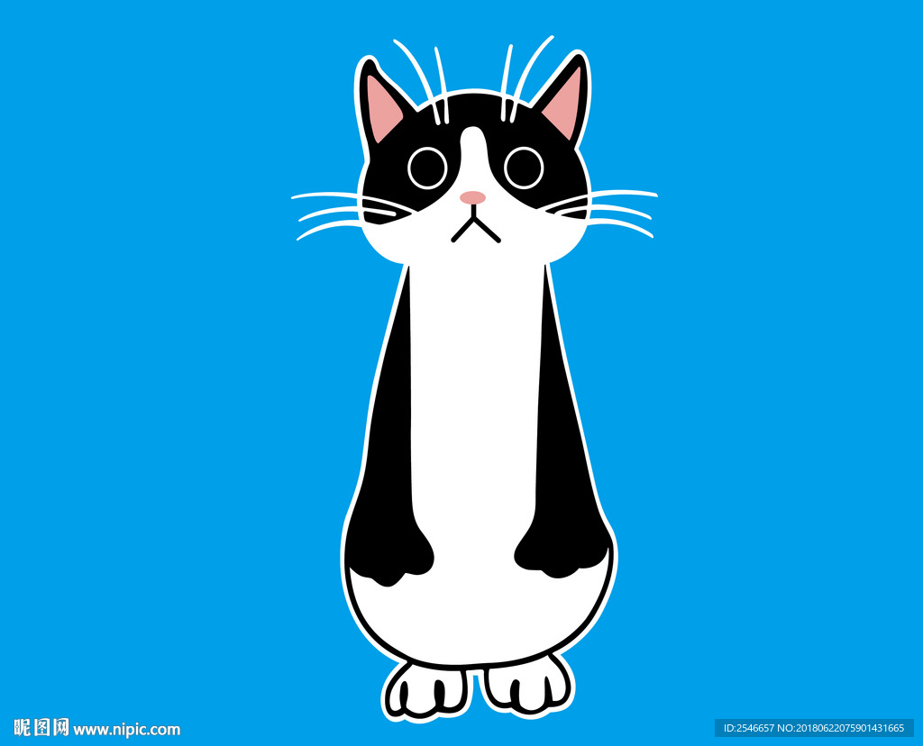 猫咪