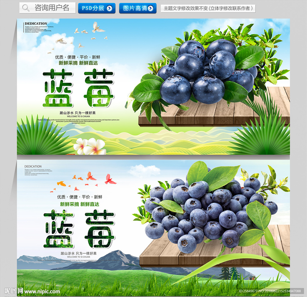 蓝莓