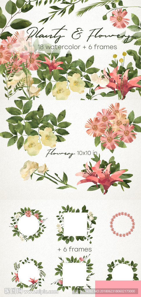 小清新植物花卉图案卡片海报