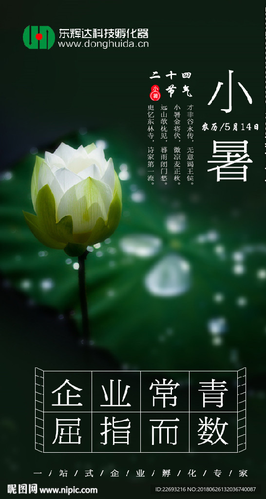 小暑海报