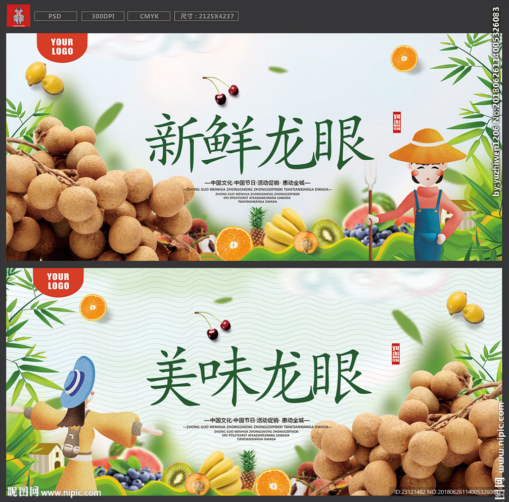 桂圆