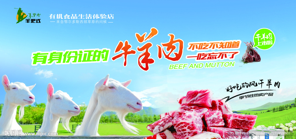 羊肉海报