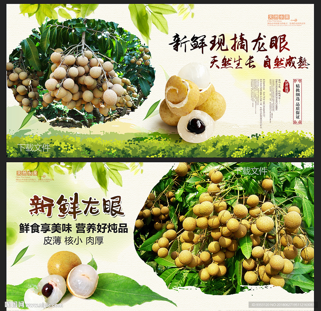 龙眼