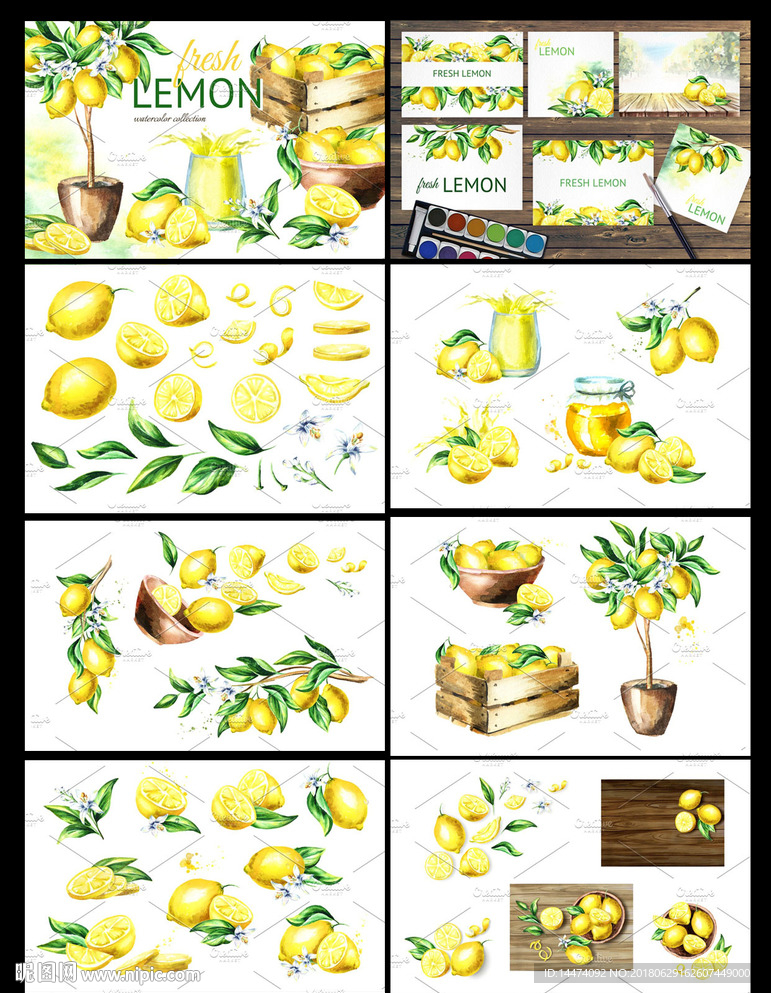 自然清爽柠檬柑橘果实植物