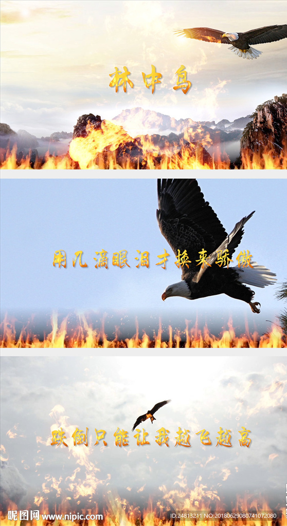 林中鸟葛林配乐成品
