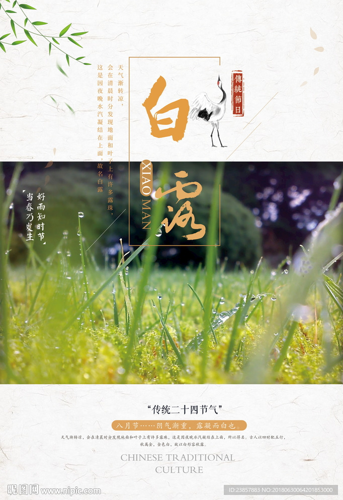 白露图片