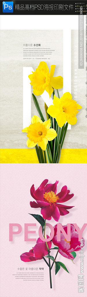 2款时尚鲜花抽象海报设计图片