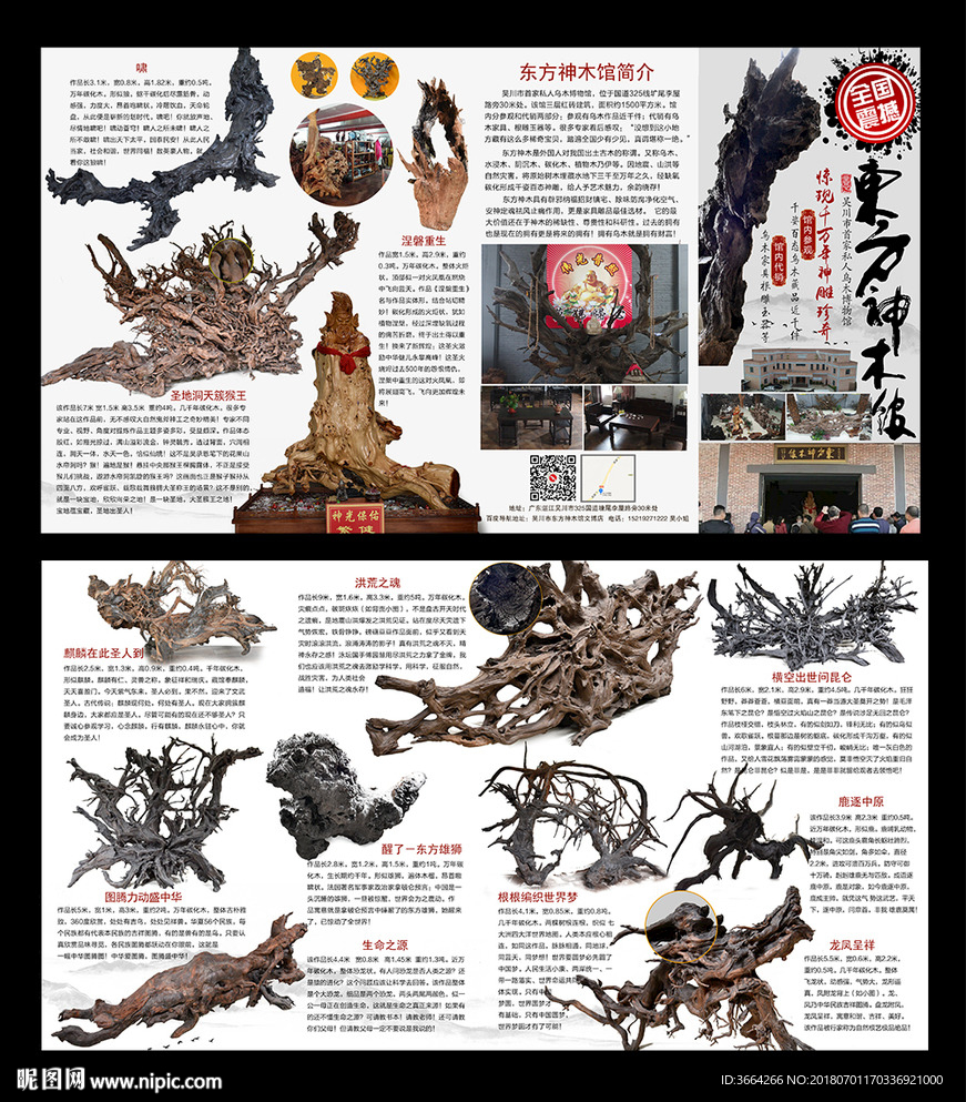 乌木博物馆宣传折页