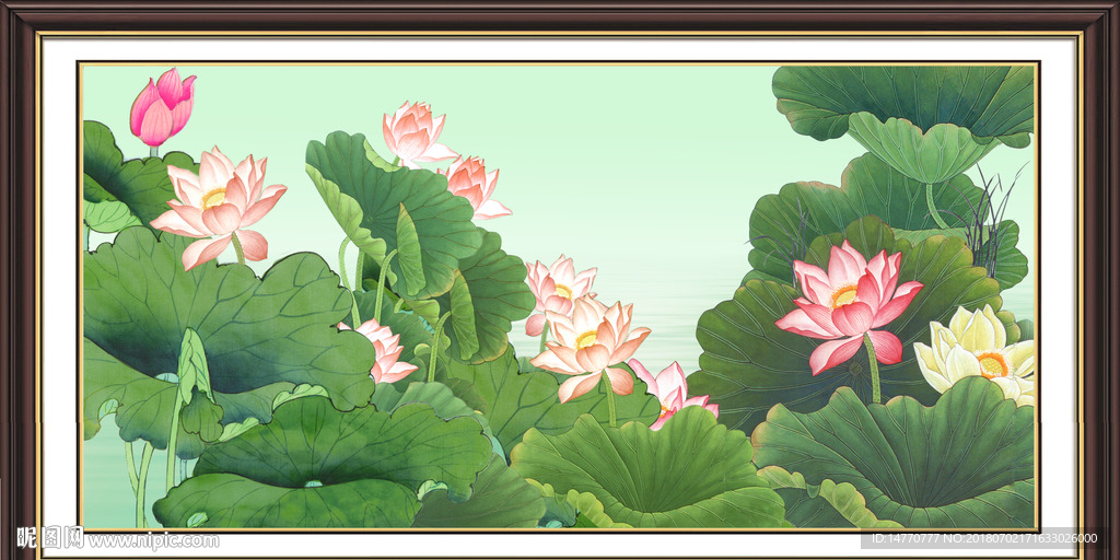 国画荷花