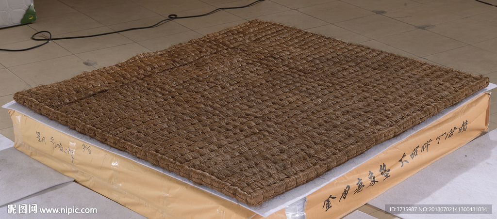 蓑衣棕
