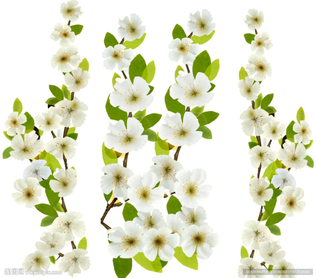 杏花花朵花卉素材