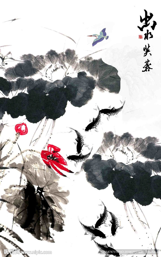 玄关荷花
