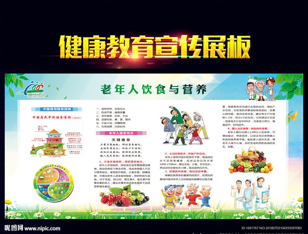 老年人饮食与营养