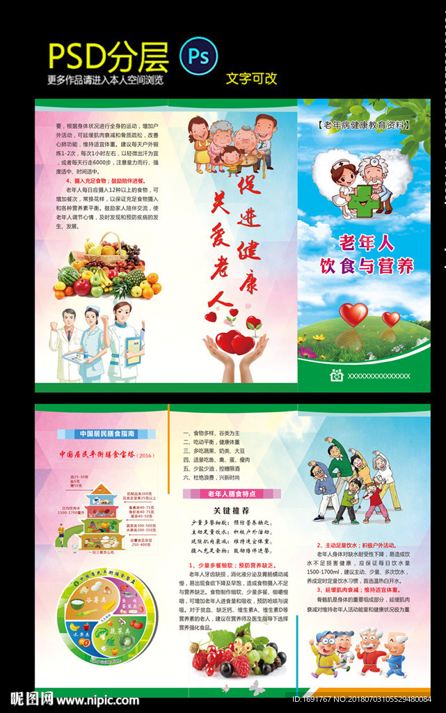 老年人营养与饮食