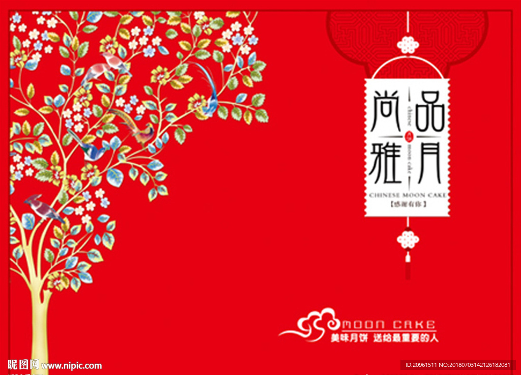 尚品雅月