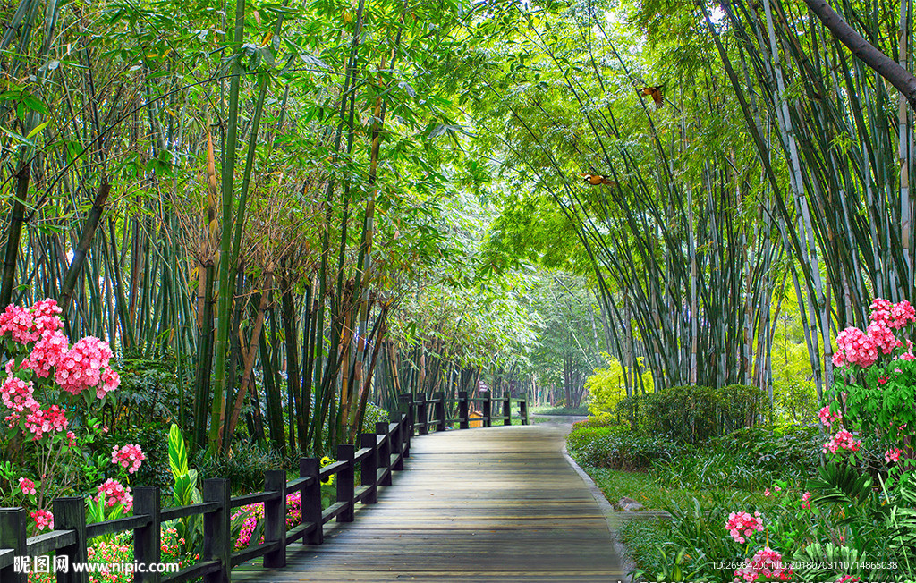 唯美清新简约竹林小路背景图片