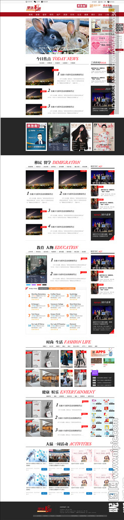 时尚新闻教育网站模版