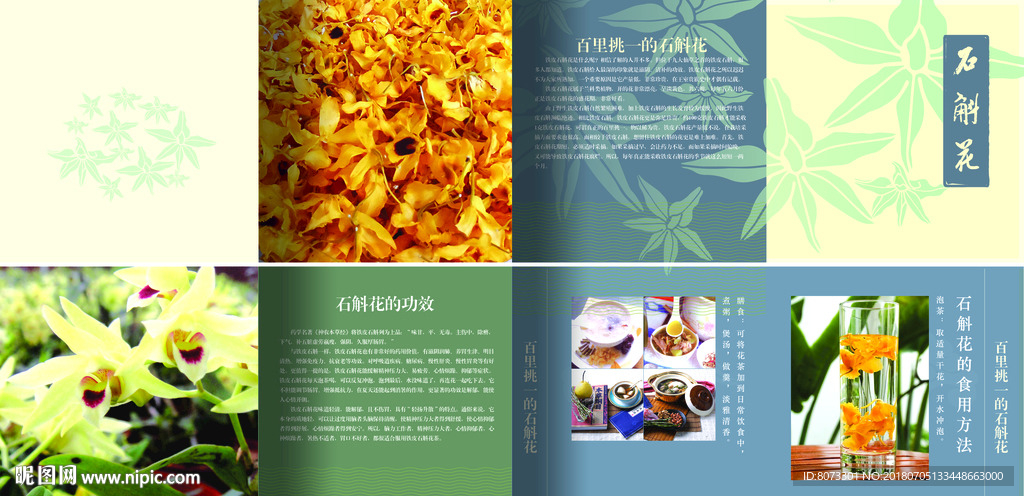 铁皮石斛花4折页