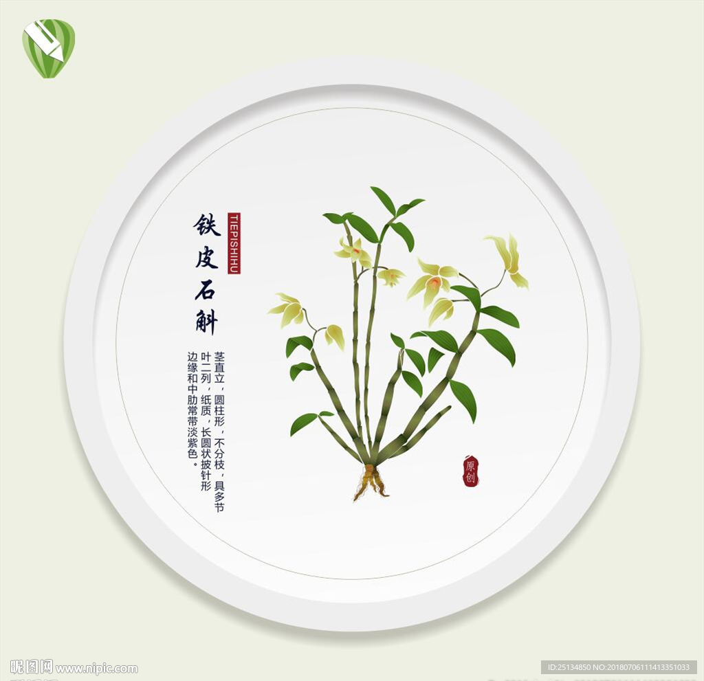 铁皮石斛