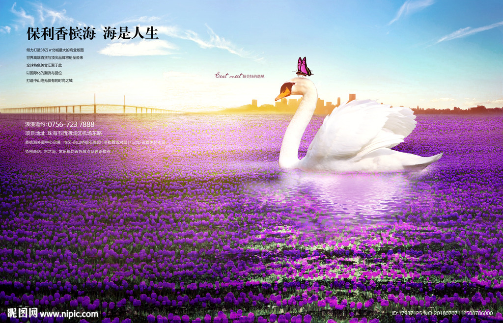 海湾 开盘 写字楼 公寓住宅
