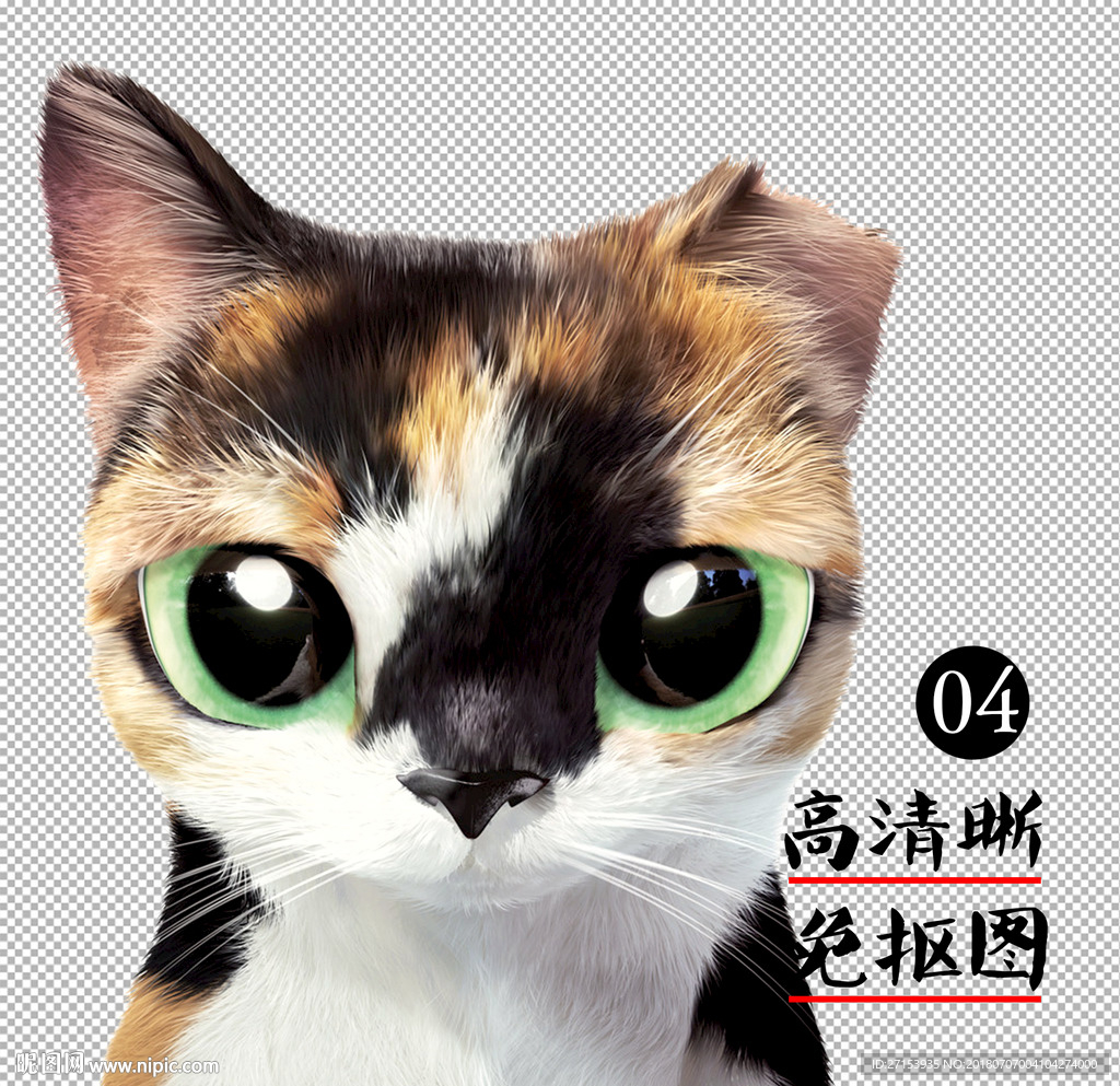猫写实