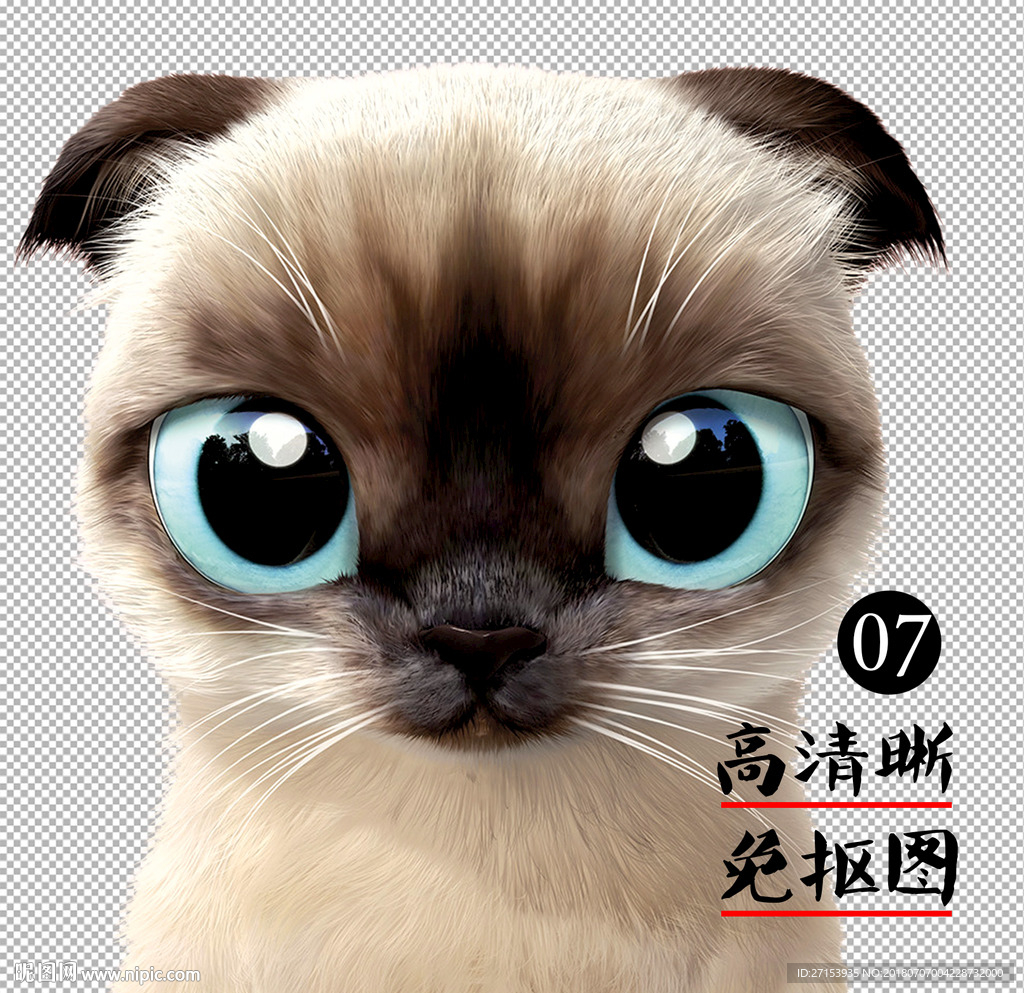 绘画猫