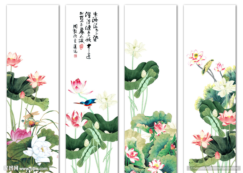 国画荷花