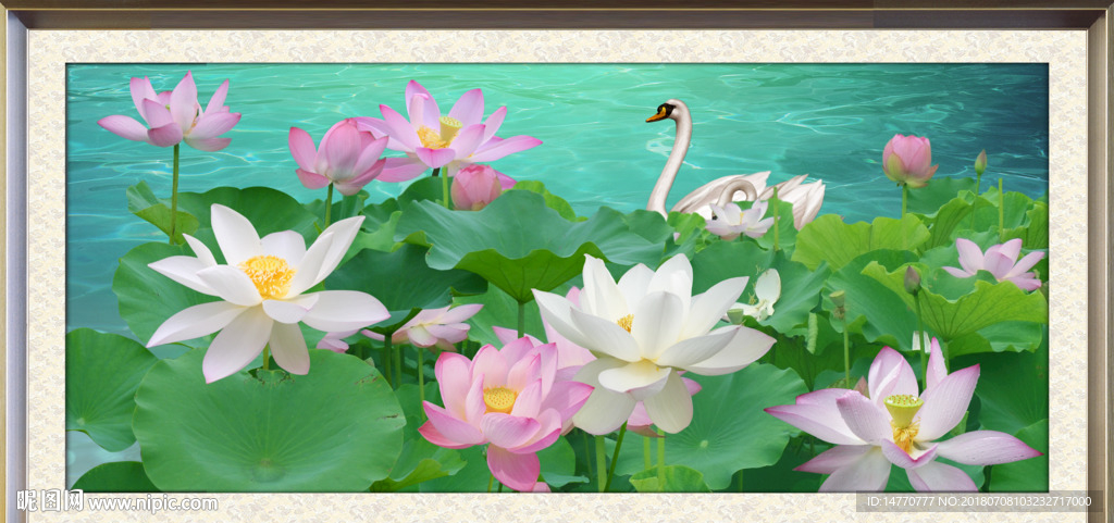 荷花图