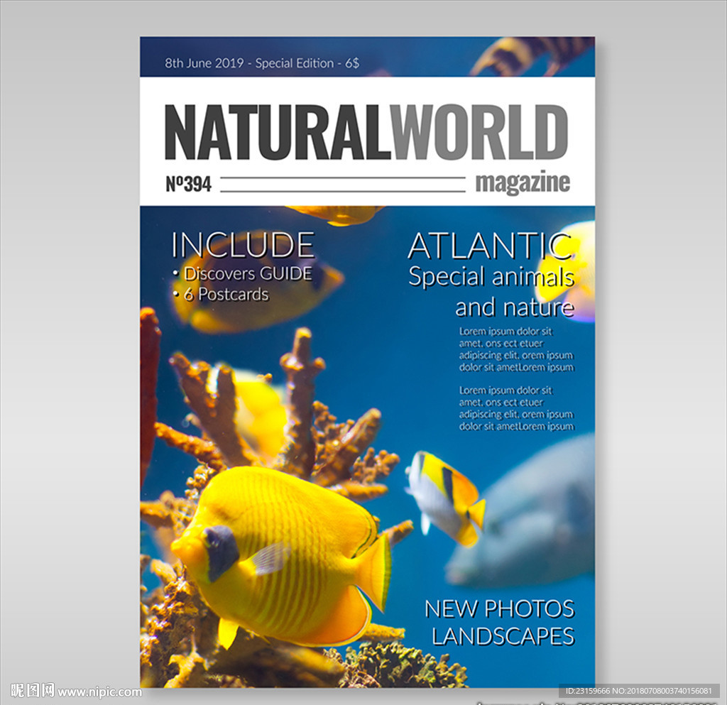 自然环保海洋生物杂志封面