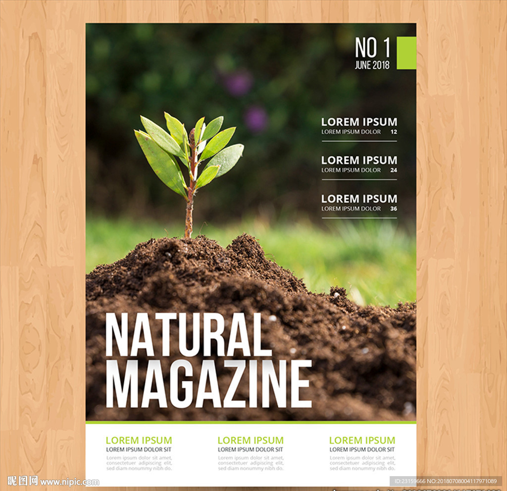 自然环保植物杂志封面