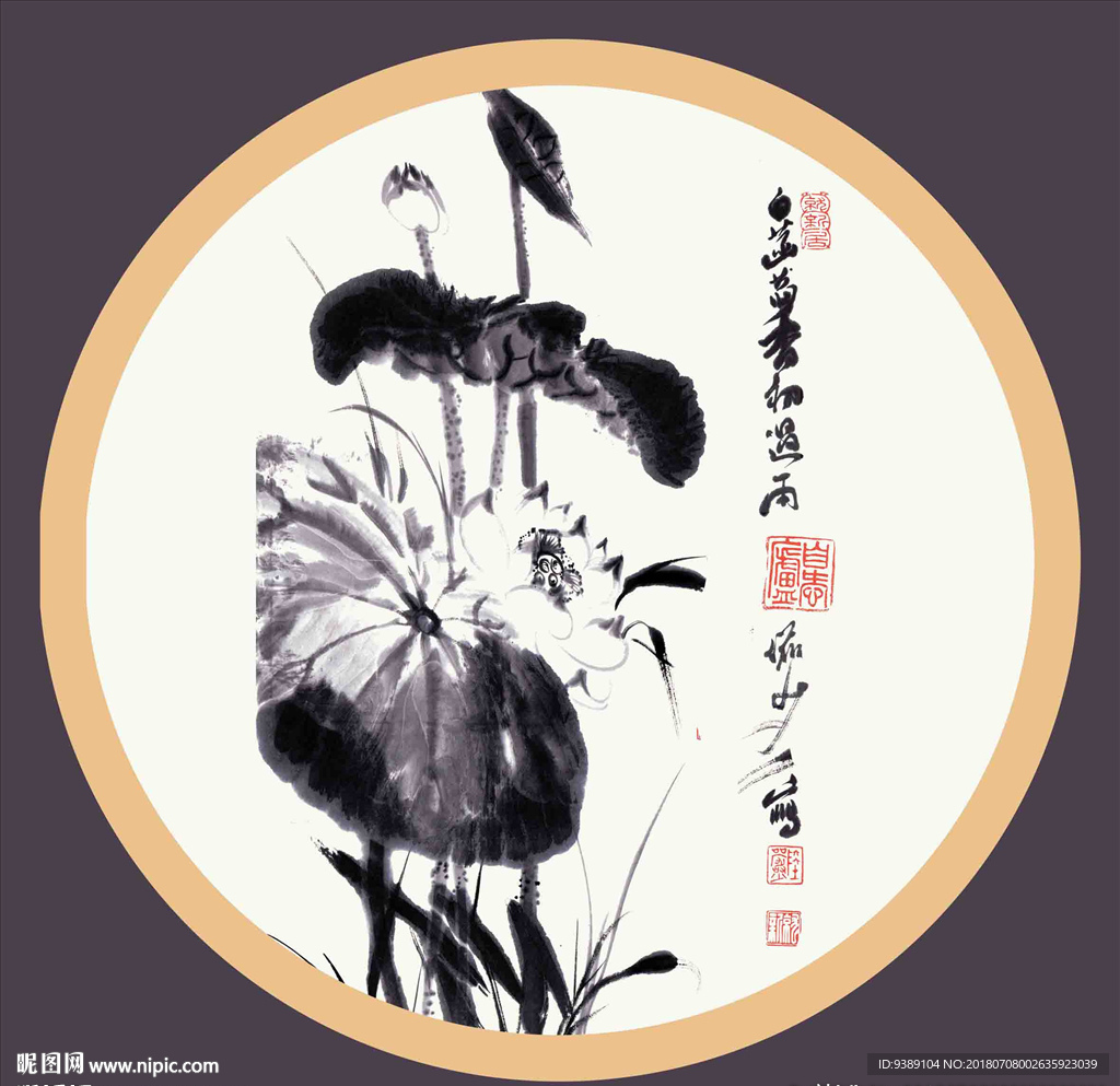 荷花