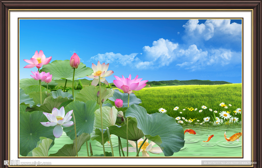 蓝天荷花图