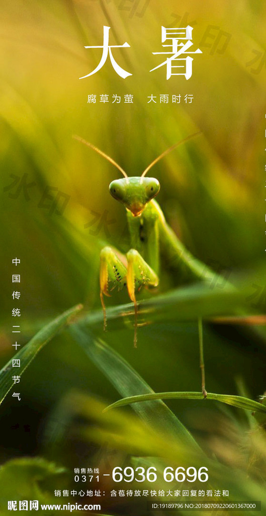 大暑