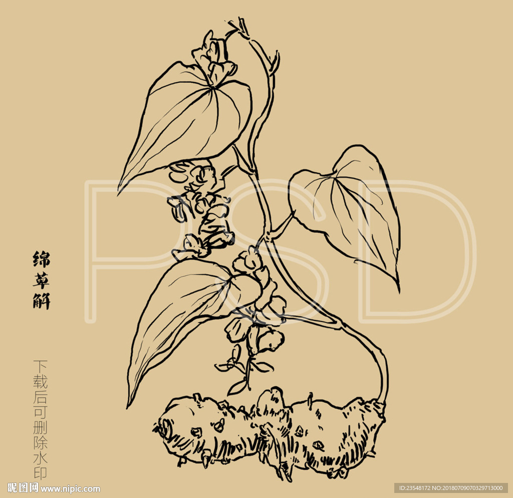 绵萆解
