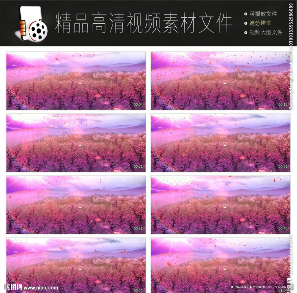 唯美浪漫迷幻欧式紫色花朵视频
