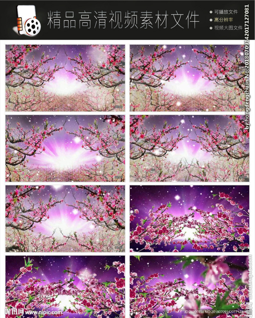 唯美浪漫迷幻欧式紫色花朵视频