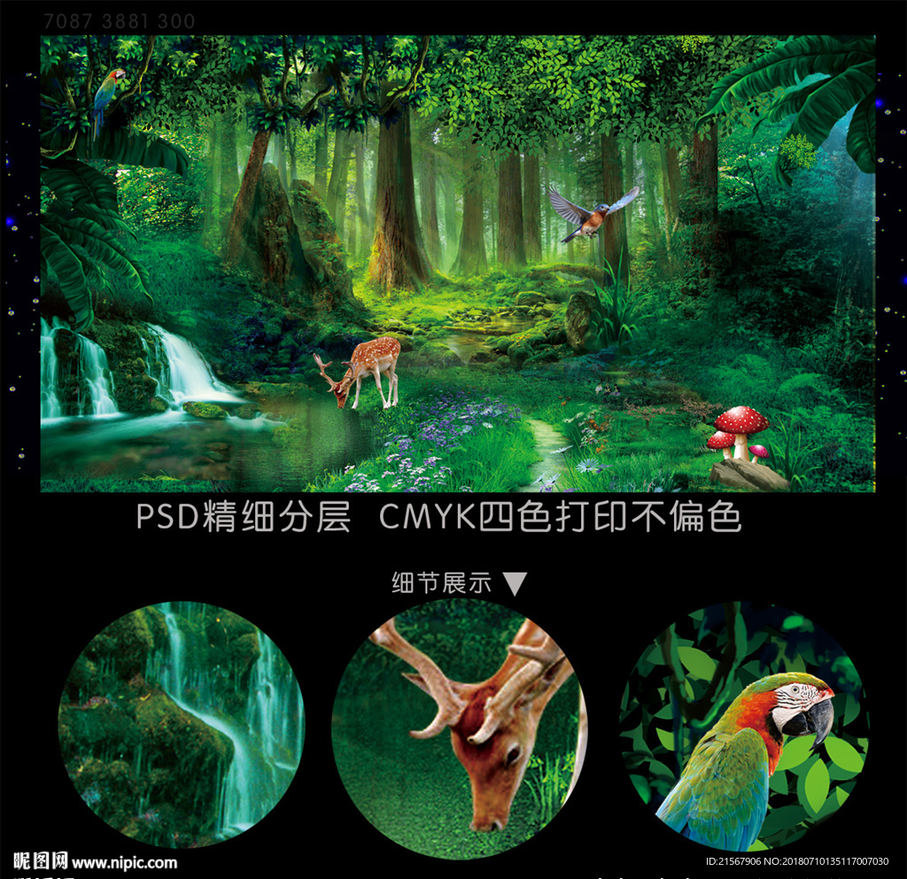 梦幻森林