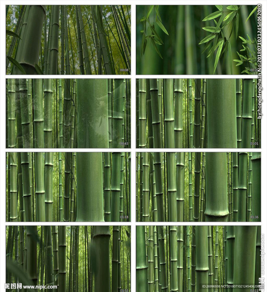中国风青花瓷竹林循环动画