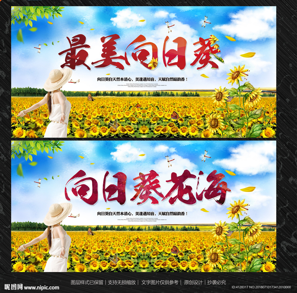 向日葵
