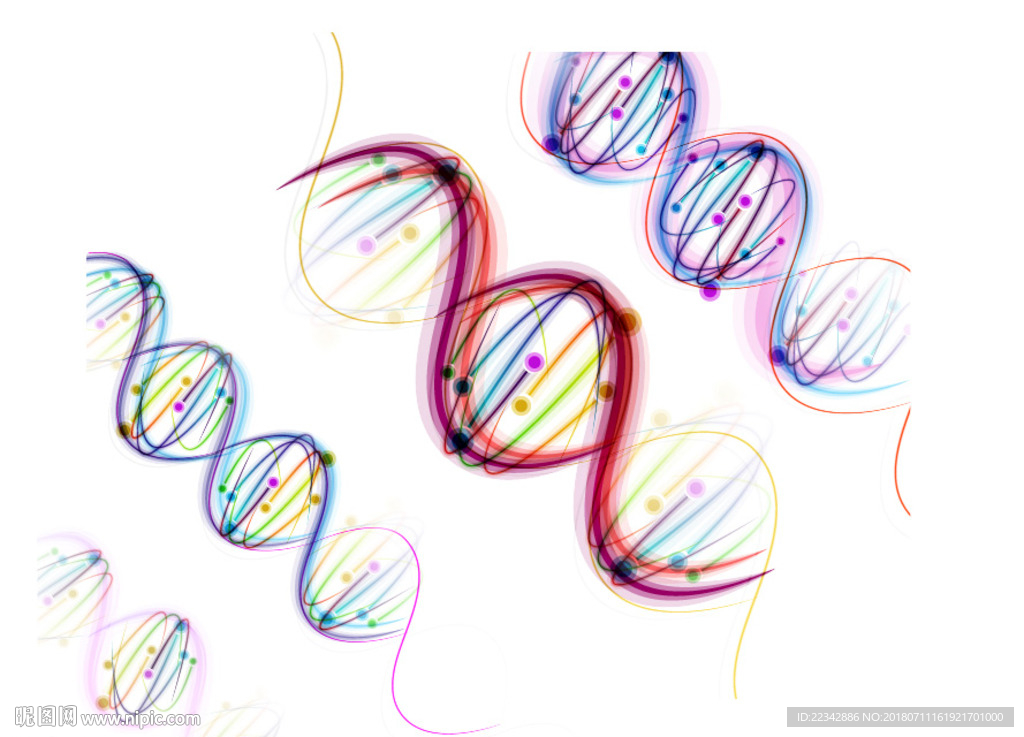 遗传  DNA