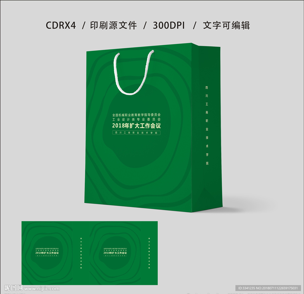 学院手提袋 平面图